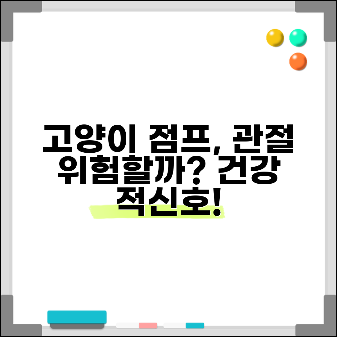 고양이가 높은 곳에서 뛰어내리면 관절에 안좋나요 | 고양이 관절 | 점프 | 건강