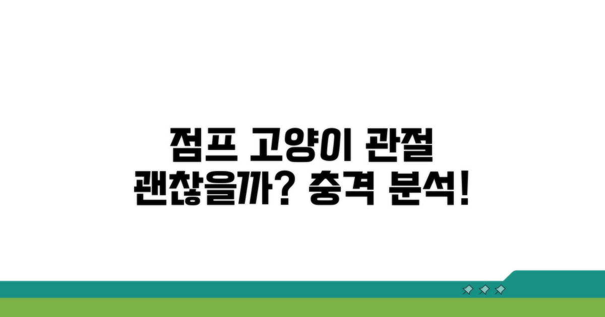 고양이 점프, 관절 영향 분석