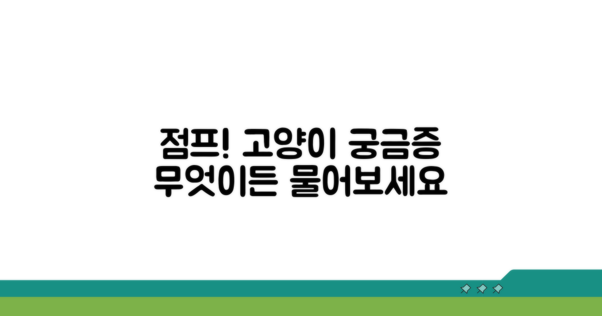 고양이 점프, 무엇이든 물어보세요