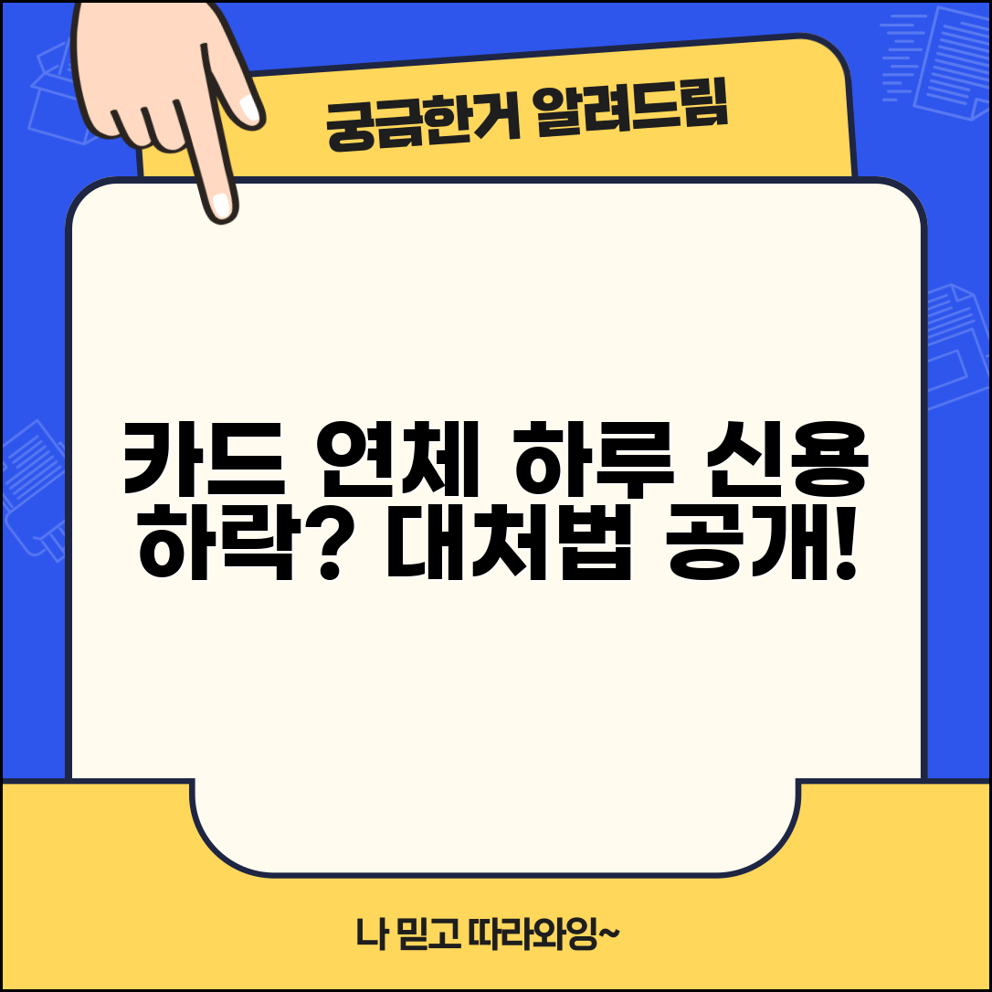카드 연체 하루 신용등급 하락 여부와 대처 방법