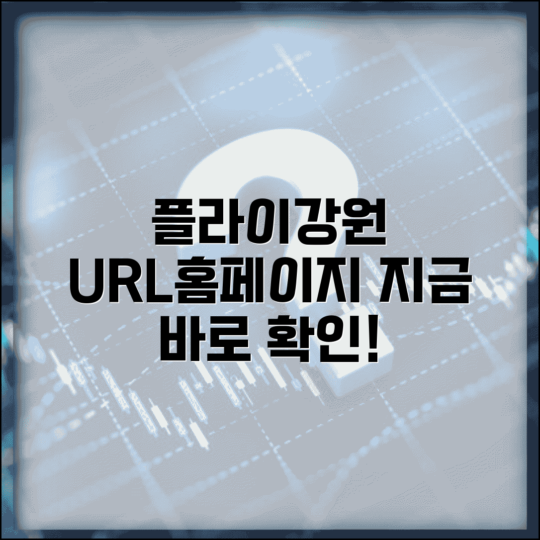 플라이강원 사이트 주소 URL | 플라이강원 홈페이지