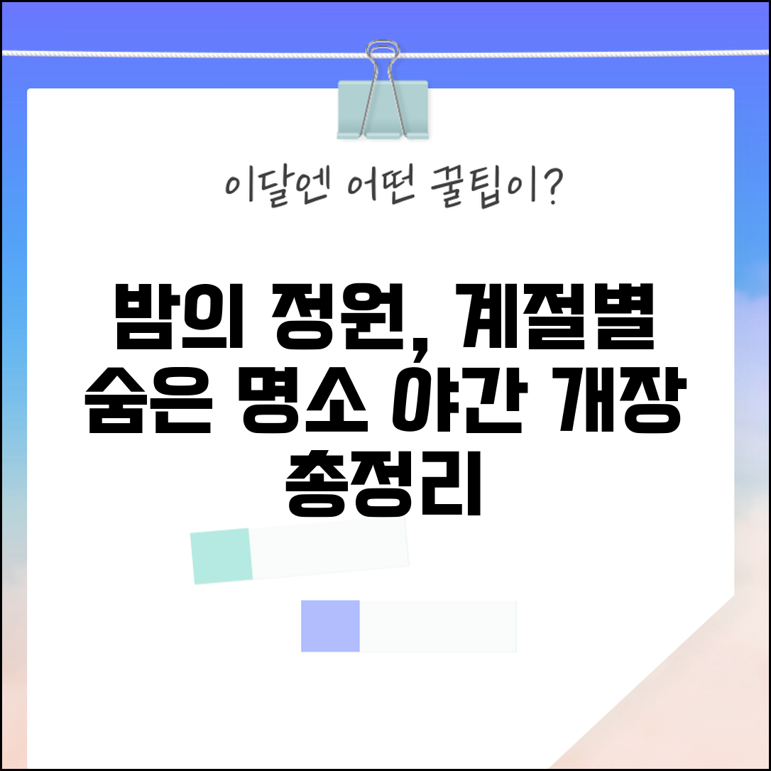 야간개장 명소 총정리 | 계절별 야간 관광지 추천