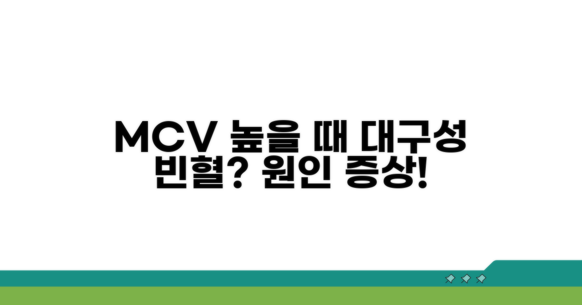 MCV 높을 때: 대구성 빈혈 원인