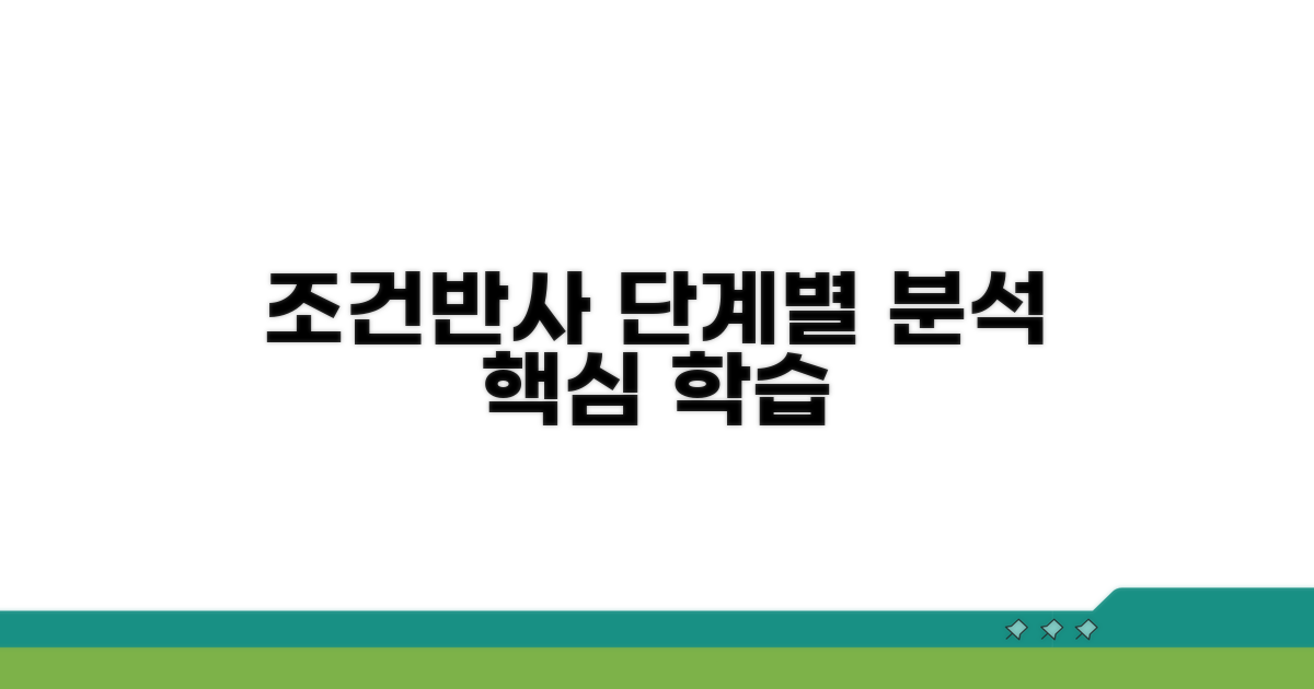 조건반사 학습 과정 단계별 분석