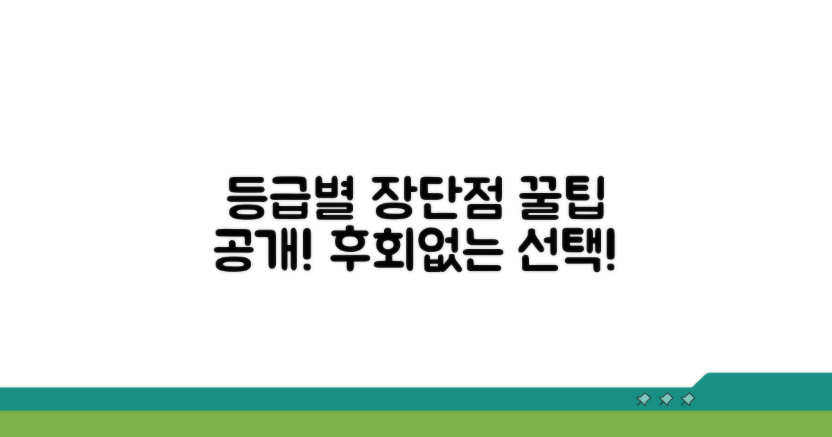등급별 장단점 및 선택 꿀팁