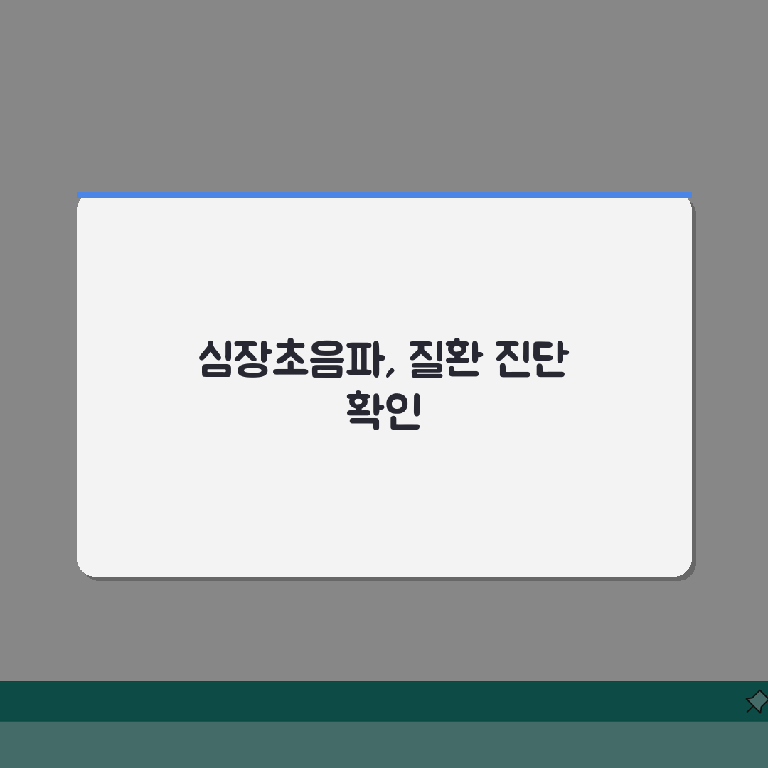 심장초음파로 알수있는병 | 판막질환/심근증/선천성 심장병 진단 정보 추천!