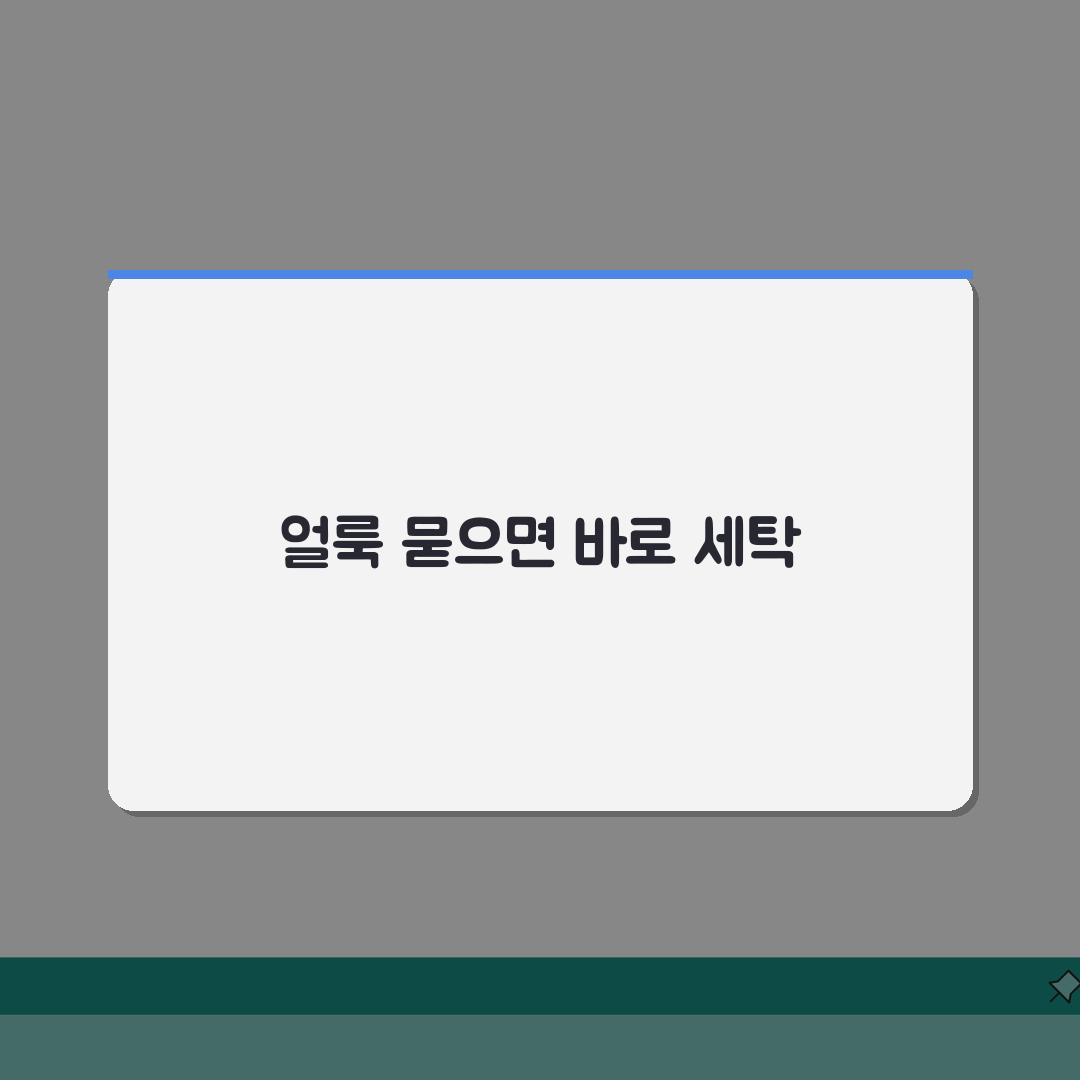 백팩 세탁 시기 언제 하는지 | 백팩 세탁과 관리 적정 주기, 친친 친구에게 추천해요!