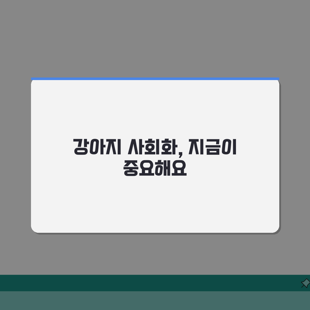 강아지 사회화 시기 언제부터 | 강아지 사회성 교육 적기 추천!