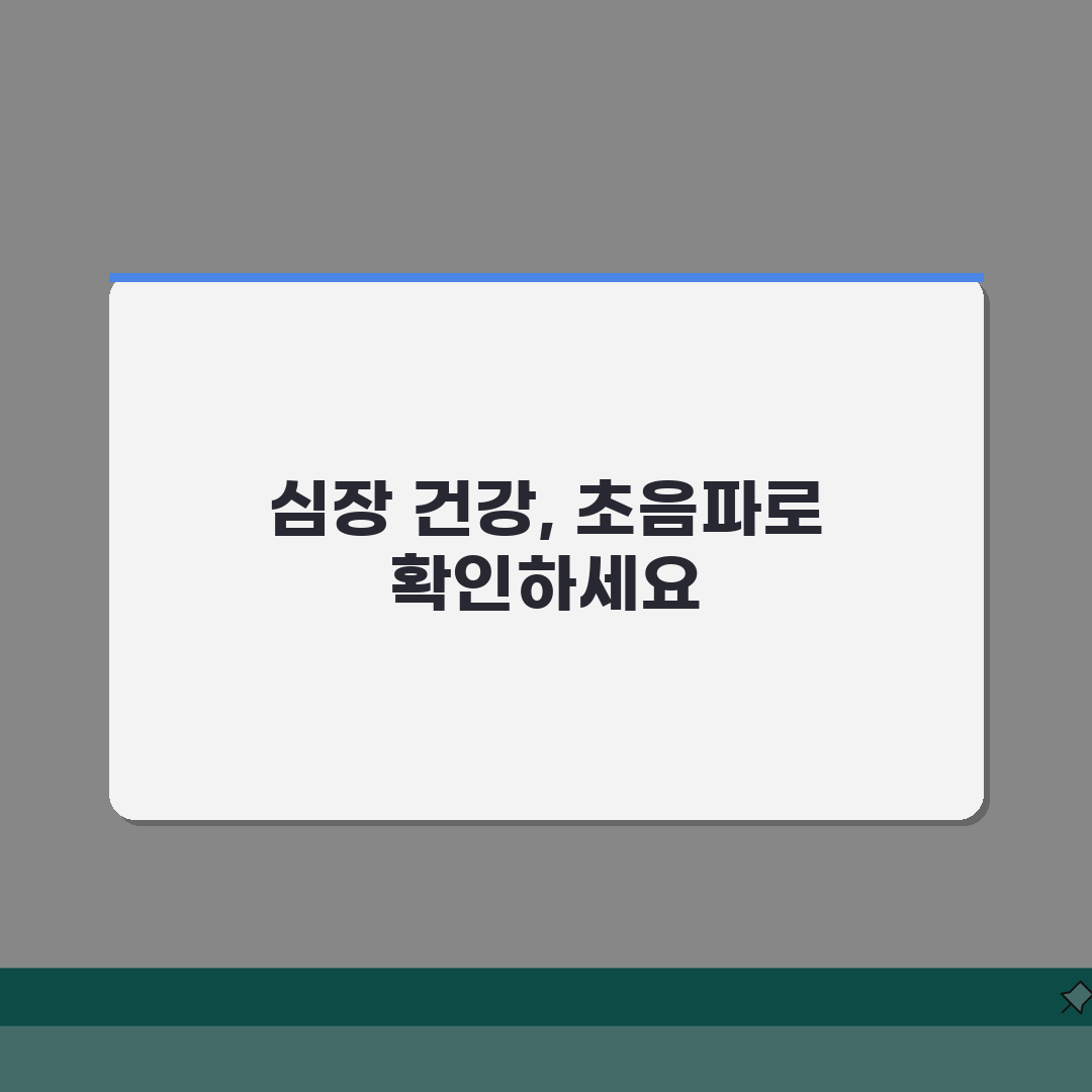 심장초음파로 알수있는병 | 판막질환/심근증/선천성 심장병 진단 정보 추천!