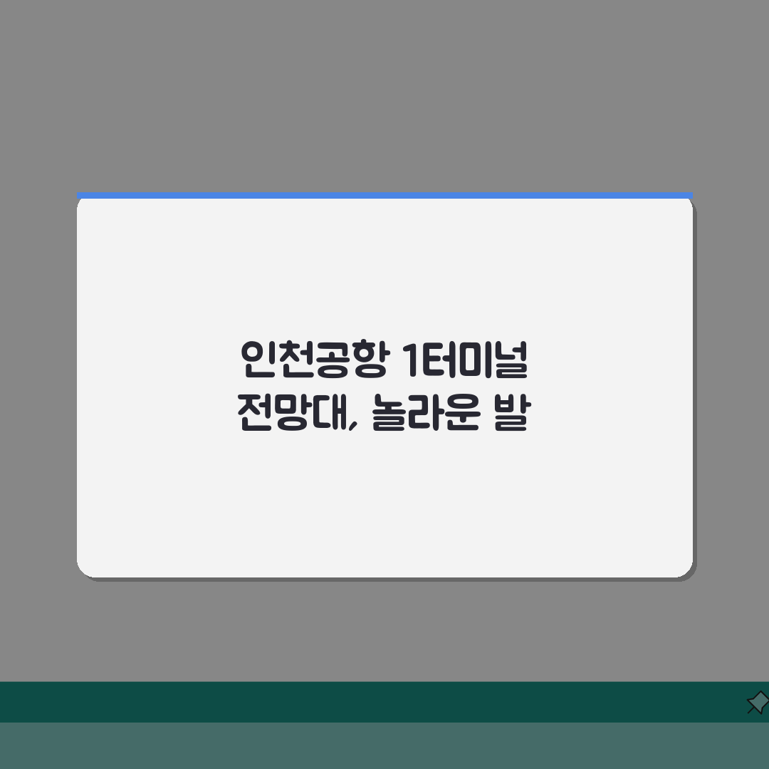 인천공항 1터미널 전망대 | 비행기 구경하기 좋은 포토스팟 직접 해봤어요